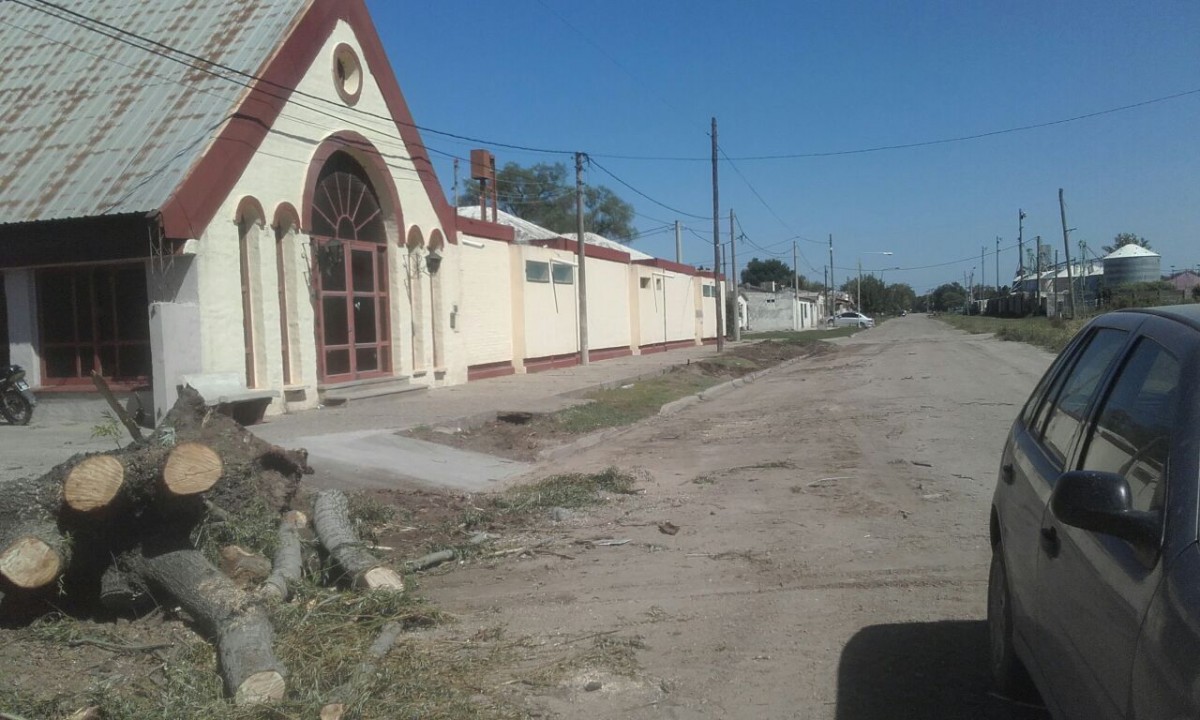 Reemplazarán la totalidad de los árboles  del Geriátrico de Barrio Central Argentino