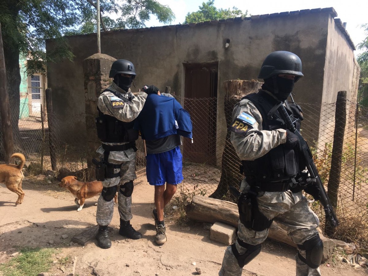 Incautaron en Marcos Juárez plantas de marihuana de más de 3 metros de altura