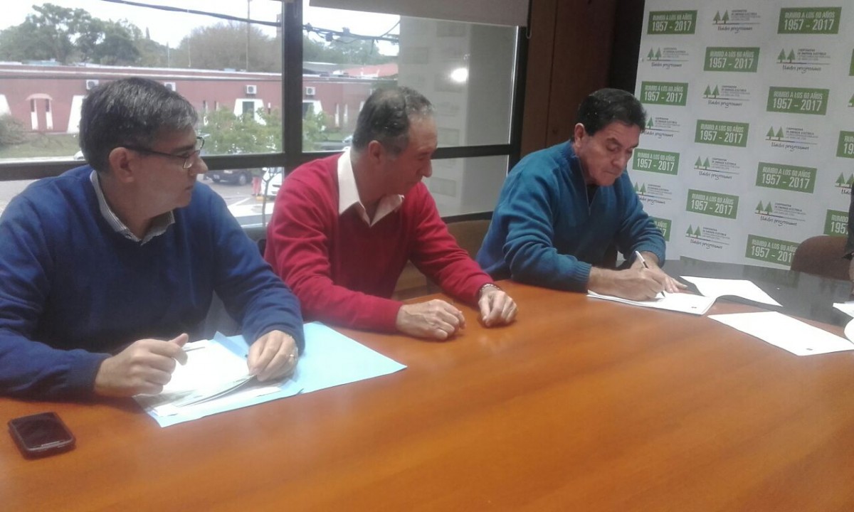 Comenzó la Auditoría en la Cooperativa de Energía Eléctrica