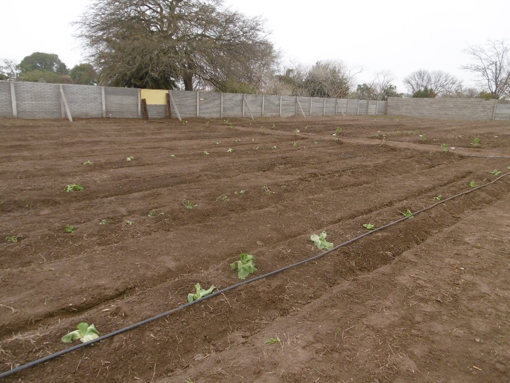 Apertura de Huerta Agro-ecológica Municipal