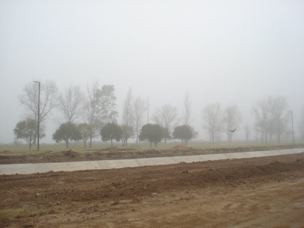 Domingo 9 de Julio, 11 de la mañana. No se ve nada