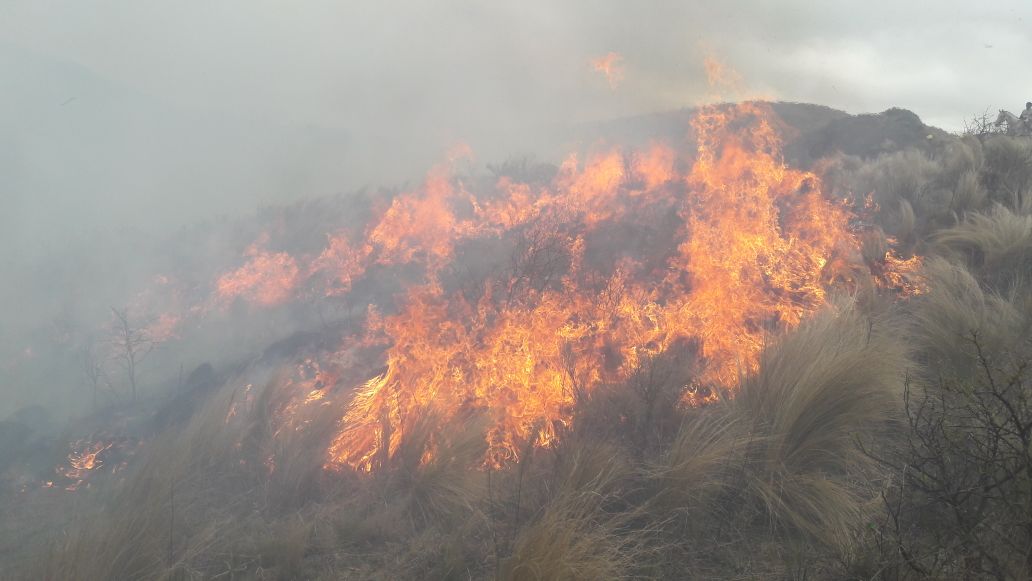 Cesó el Alerta de Fuego y los bomberos regresan a sus cuarteles