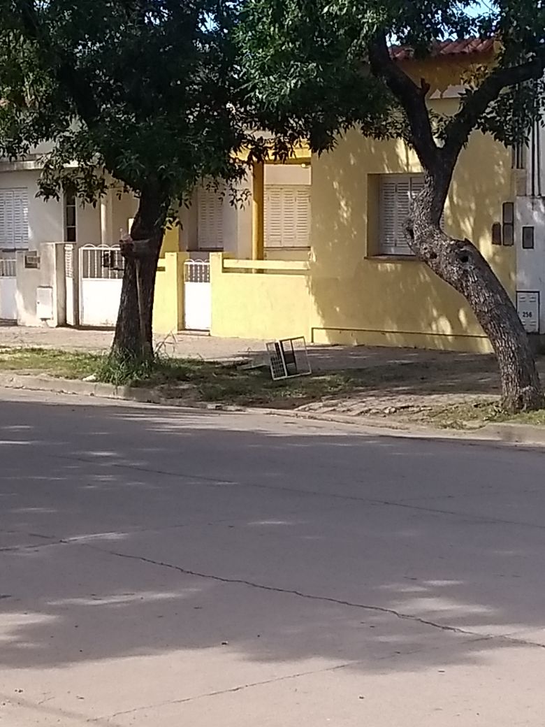 Tierra de vándalos. Como de costumbre, nadie vio nada