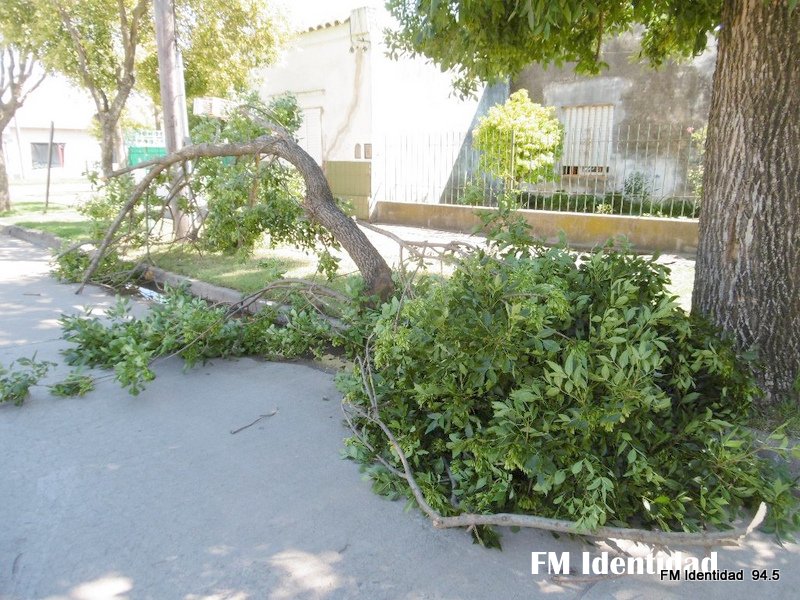 Imágenes que dejó el temporal