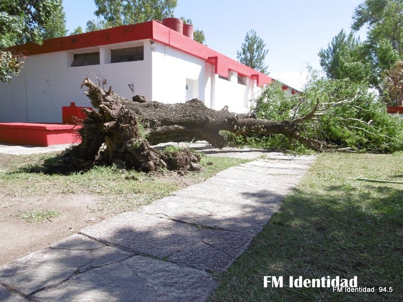 Imágenes que dejó el temporal