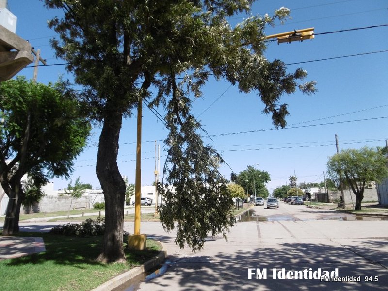 Imágenes que dejó el temporal
