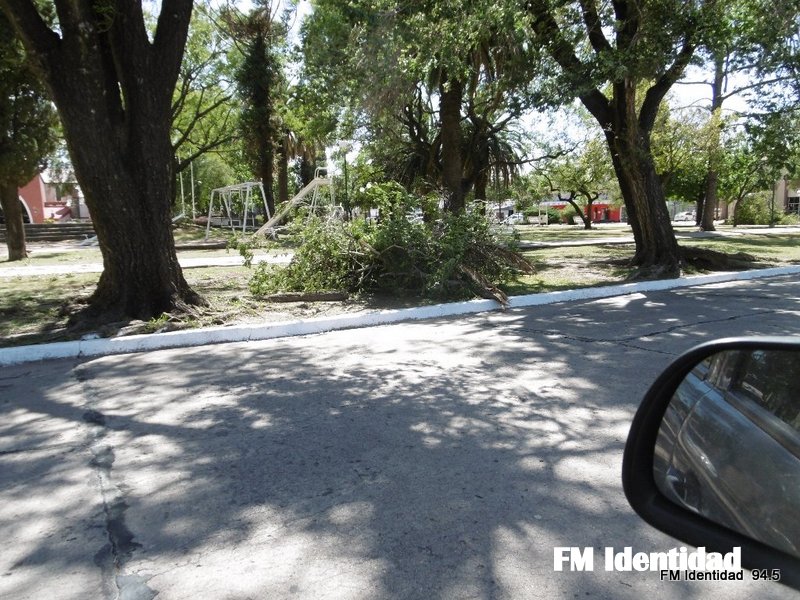 Imágenes que dejó el temporal