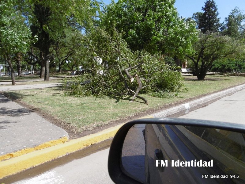 Imágenes que dejó el temporal