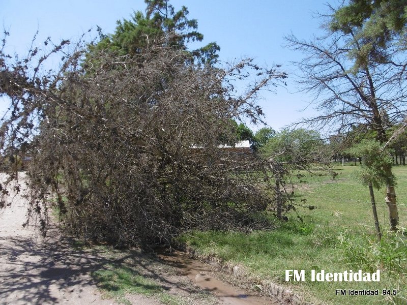Imágenes que dejó el temporal