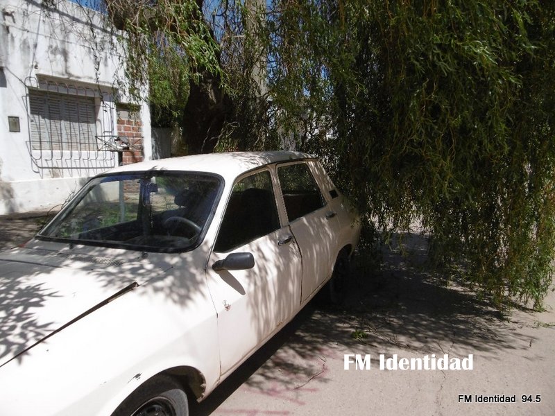 Imágenes que dejó el temporal
