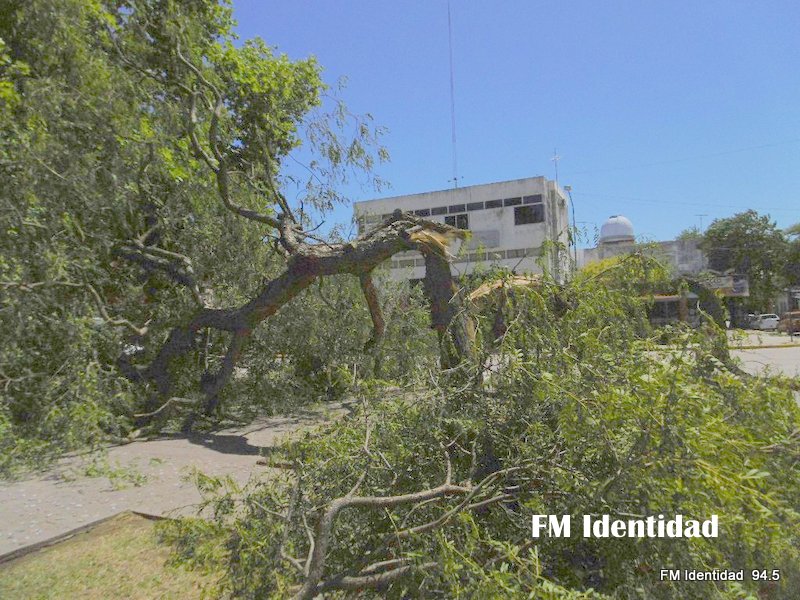 Imágenes que dejó el temporal