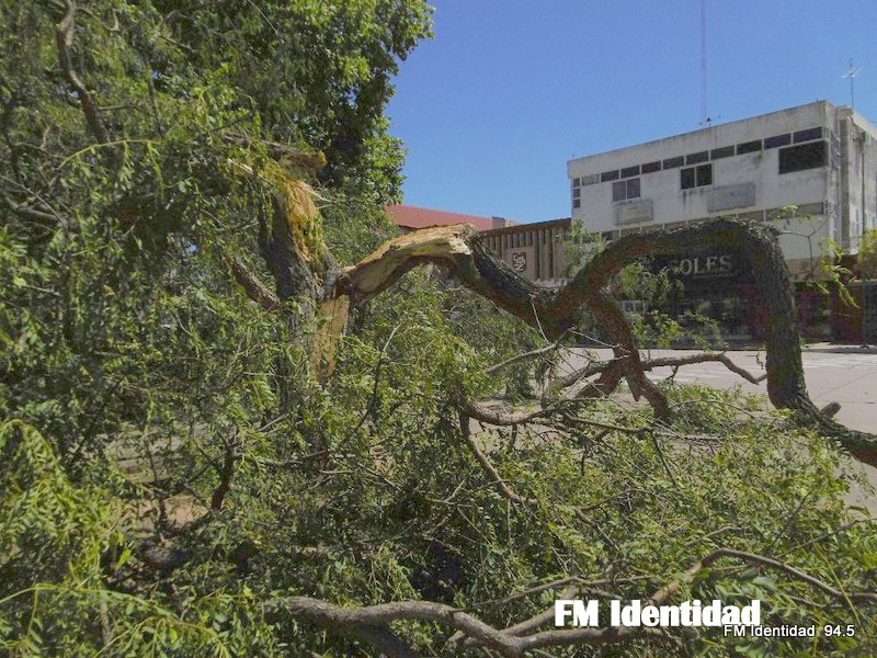 Imágenes que dejó el temporal