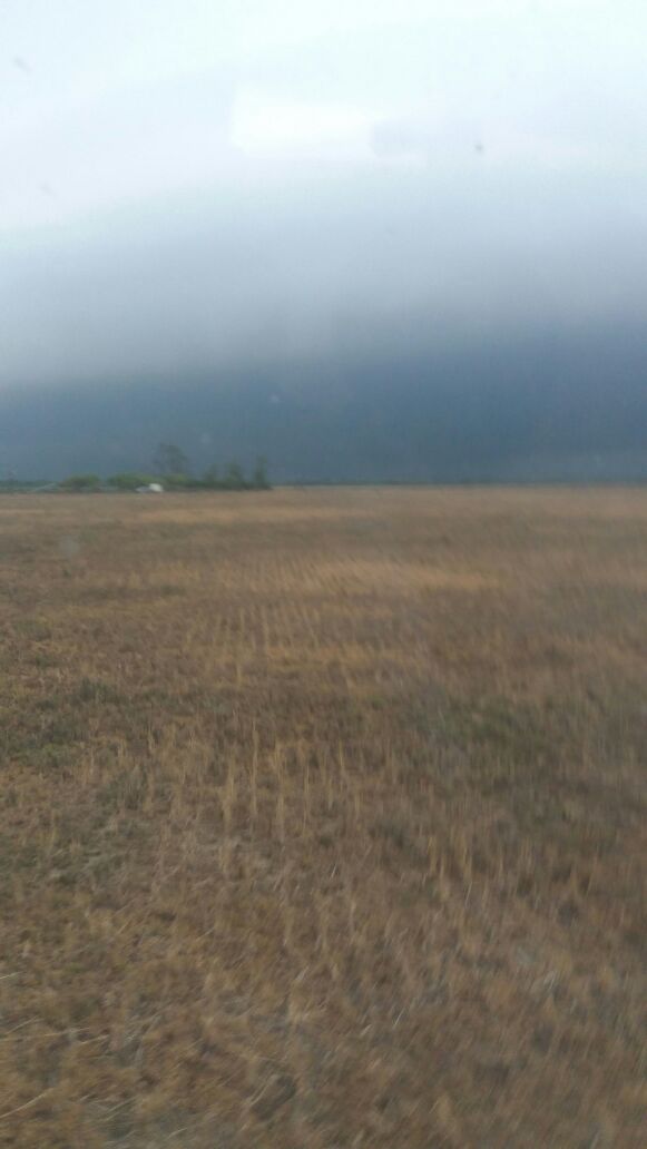 ¿Se viene la tormenta?