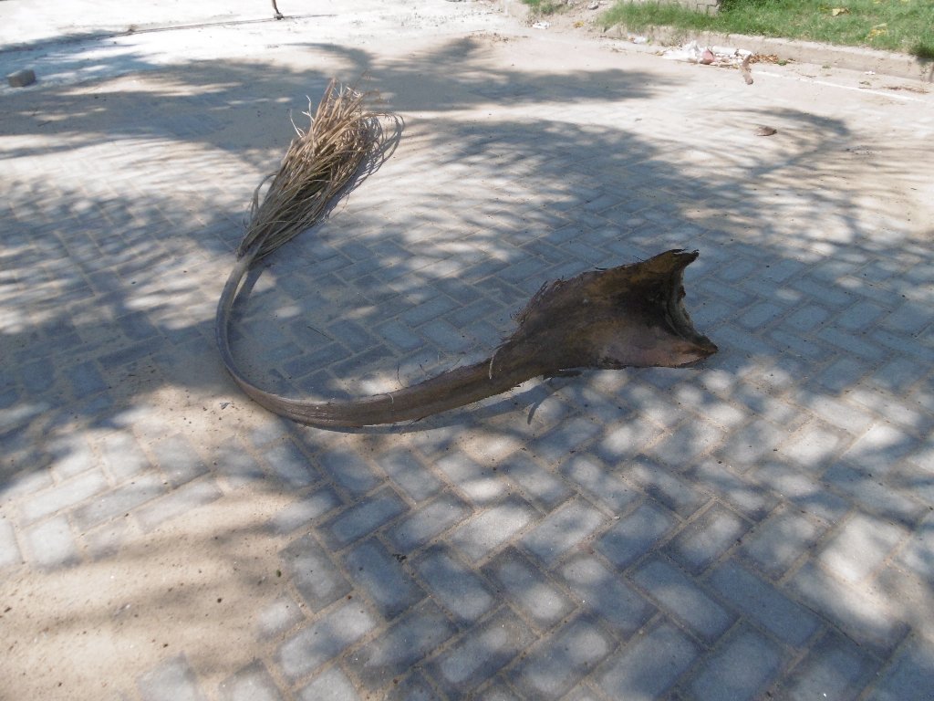 Quejas de vecinos del barrio Bonansea