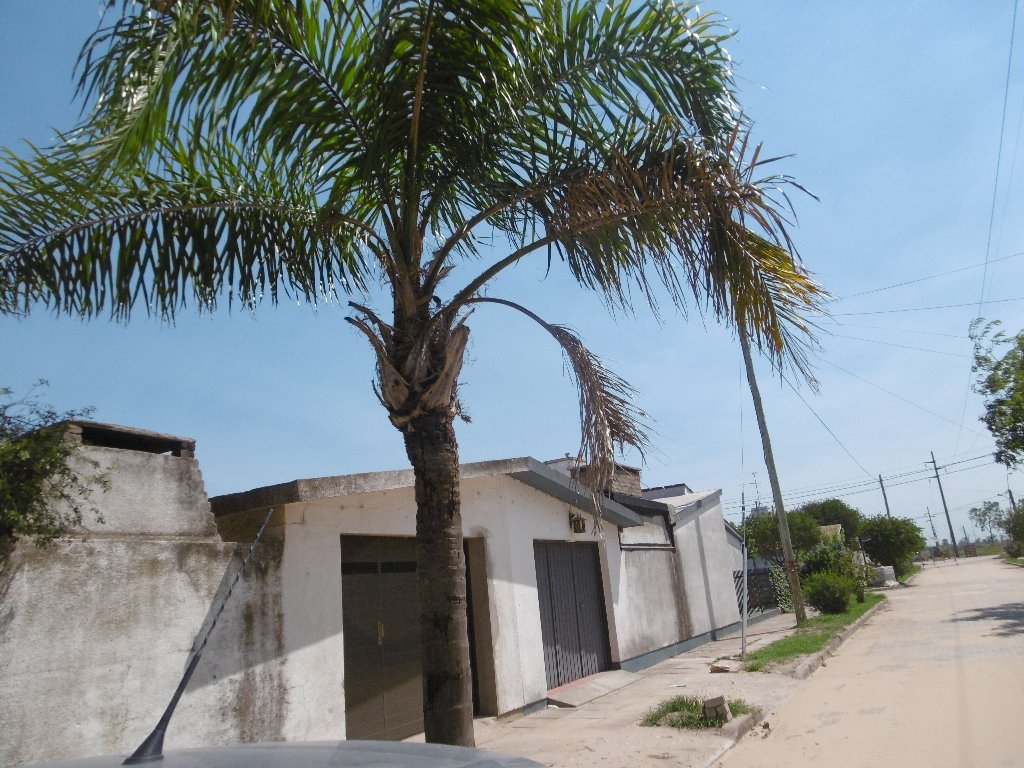 Quejas de vecinos del barrio Bonansea