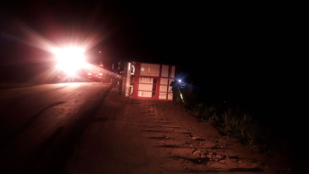 Volcó el acoplado de un camión que transportaba vacunos. No hubo lesionados