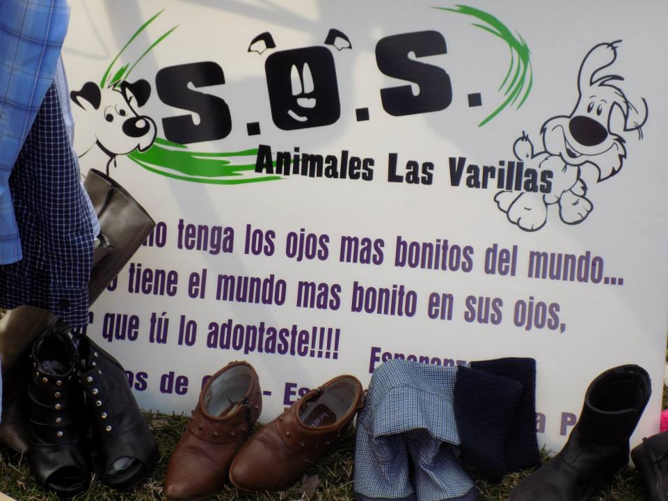 El Grupo S.O.S animales denunció hartazgo e insensibilidad hacia su trabajo voluntario