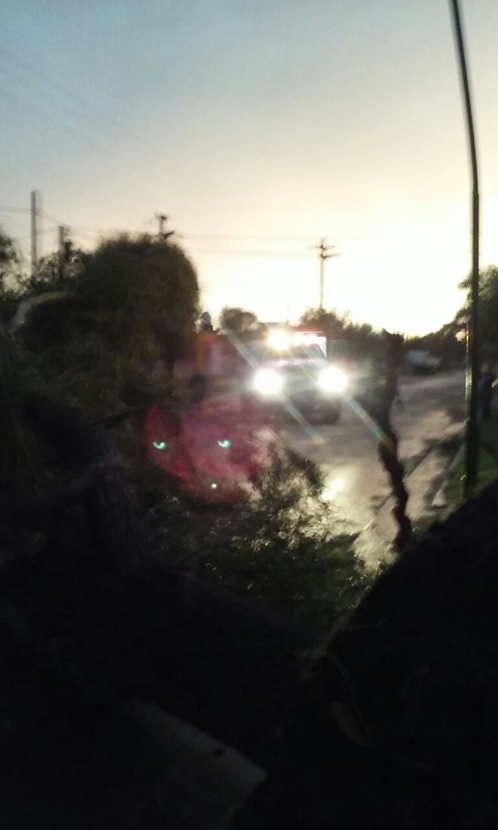Inconvenientes en diversos sectores de la ciudad por el fuerte viento.