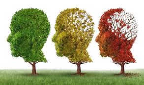 Alzheimer: “Es una enfermedad muy cruel porque le quita a la persona las cosas más humanas que tiene” dijo un especialista. (audio)