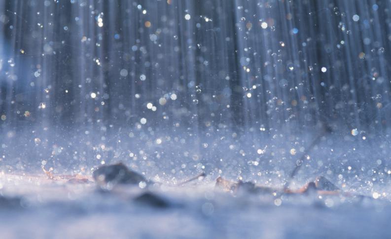 Lluvia escasa pero en toda la región
