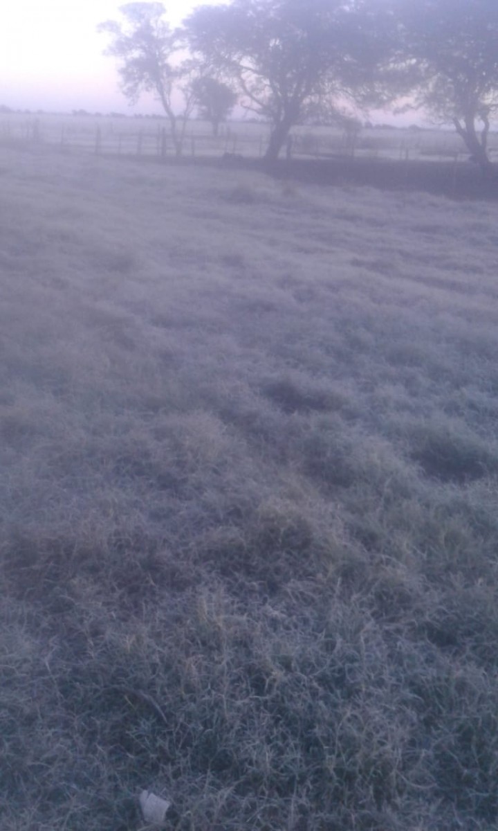 La región bajo un manto de hielo