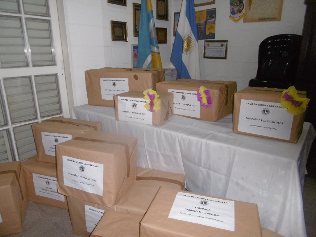Leones Solidarios