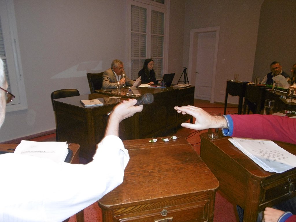 Ingresaron al Deliberante un proyecto para evitar la presencia de caballos sueltos en la calle