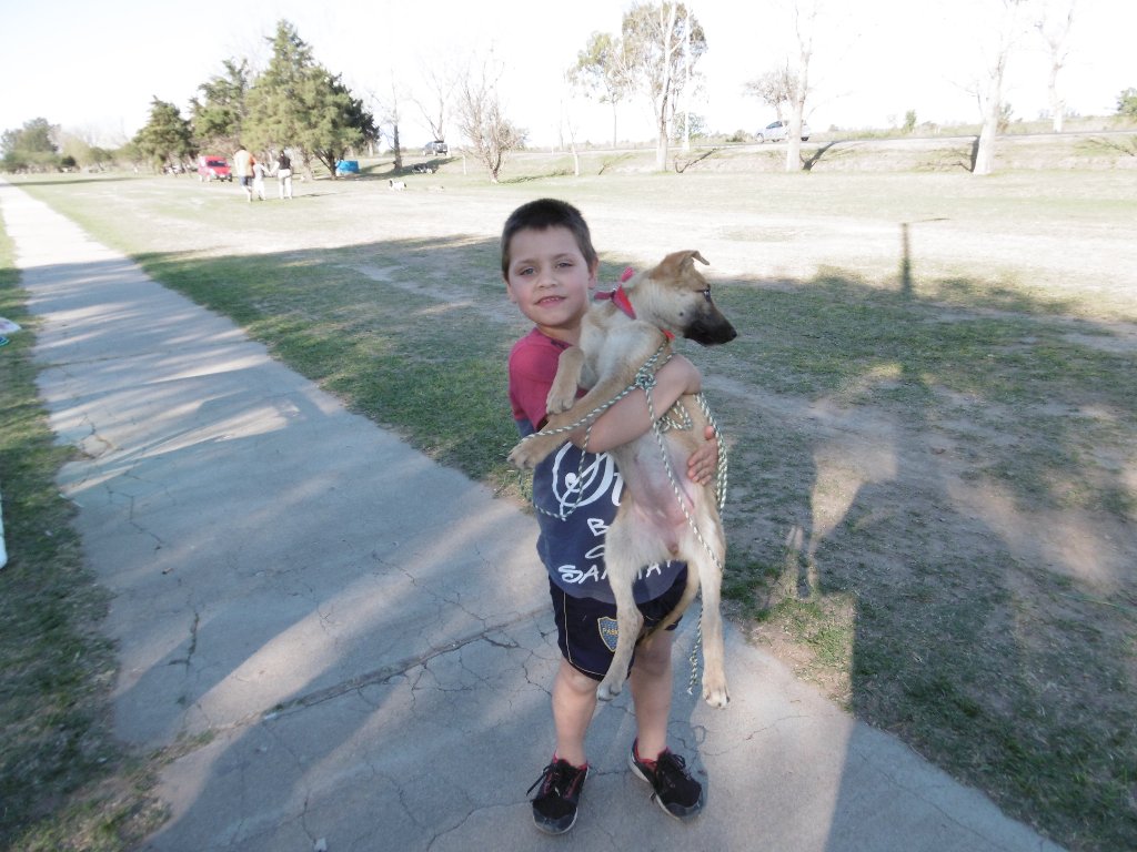 Entrega de mascotas y plantas en el Paseo del Caminante
