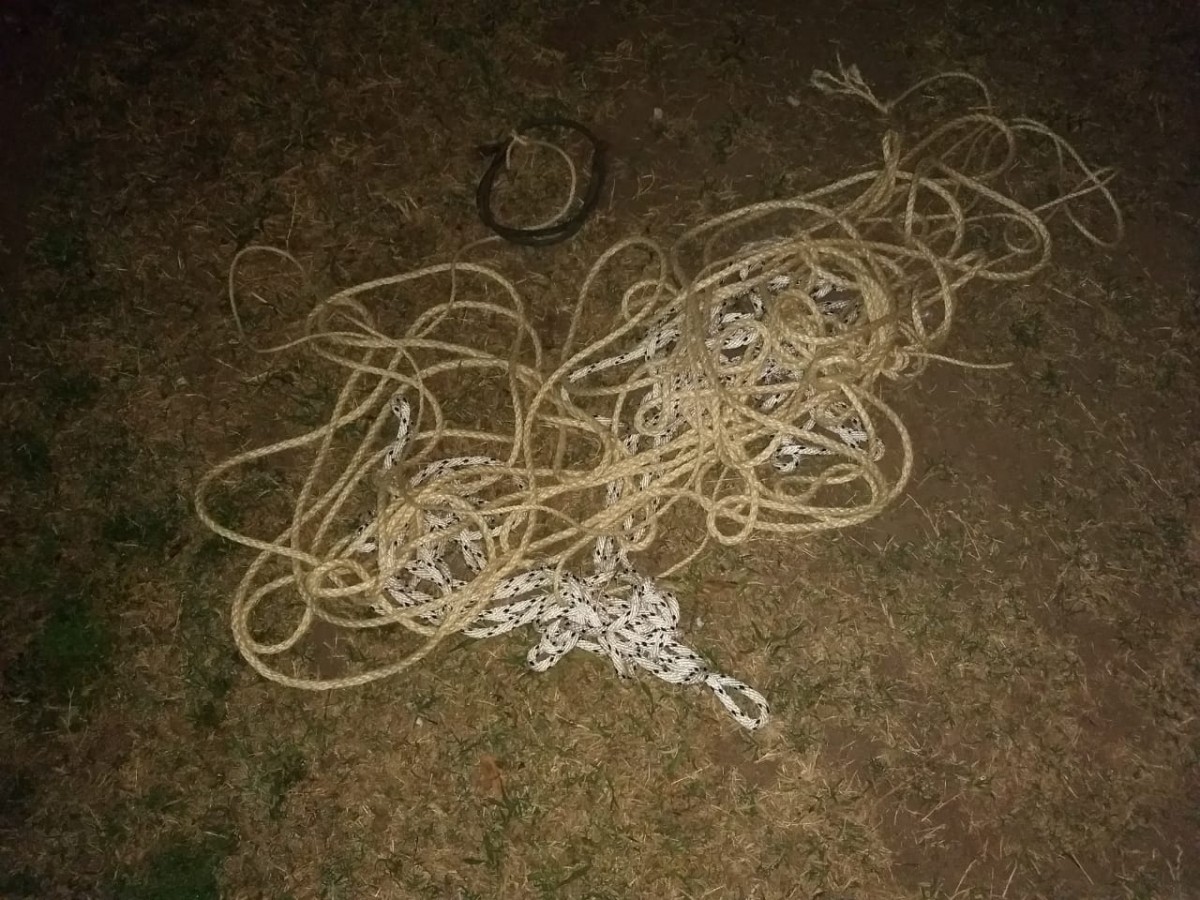 Un automóvil se metió en un shop. Sólo hubo daños materiales