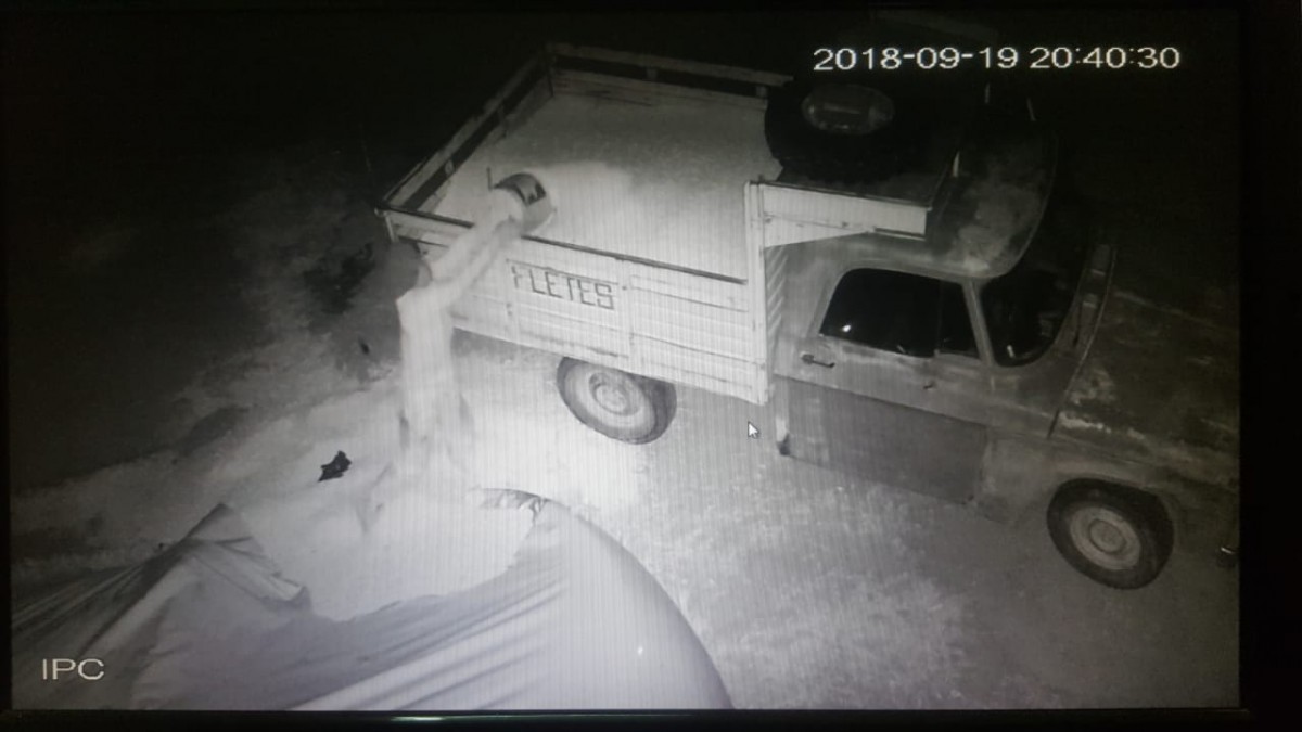 Allanamientos por robo de cereal, hurtos y un choque con una mujer herida