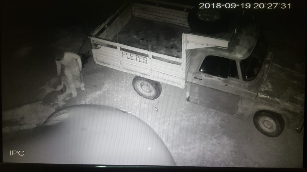 Allanamientos por robo de cereal, hurtos y un choque con una mujer herida