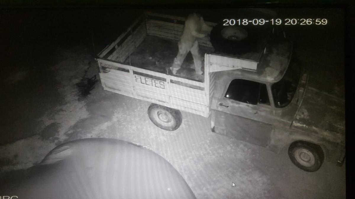 Allanamientos por robo de cereal, hurtos y un choque con una mujer herida