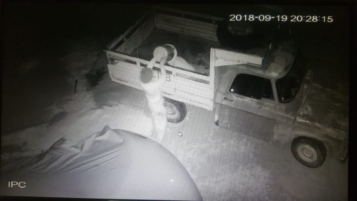 Allanamientos por robo de cereal, hurtos y un choque con una mujer herida