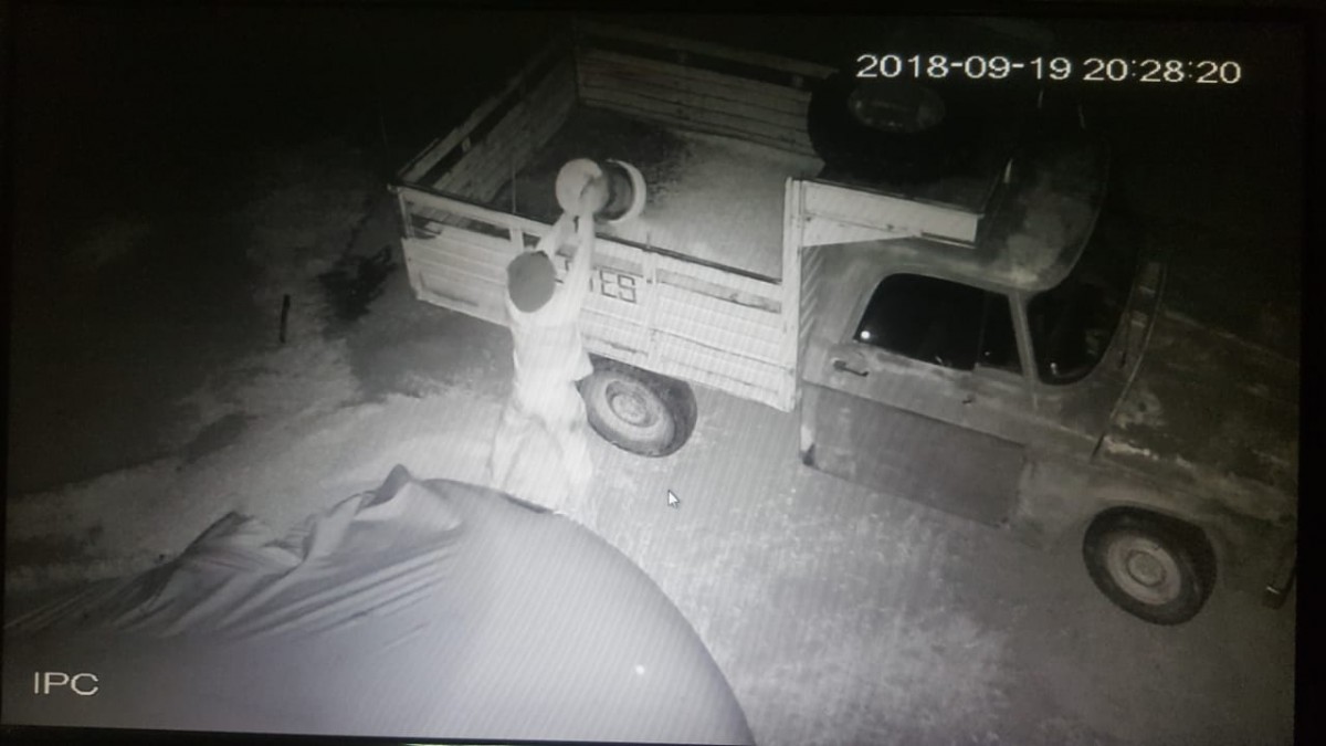 Allanamientos por robo de cereal, hurtos y un choque con una mujer herida