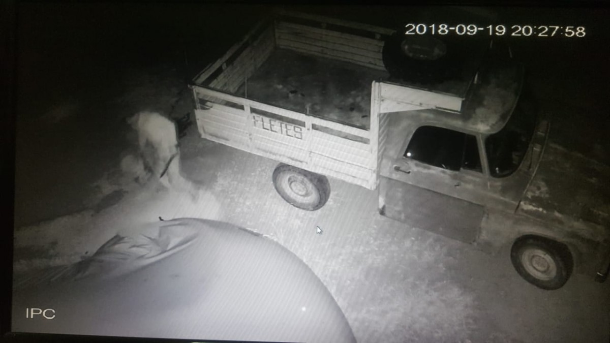 Allanamientos por robo de cereal, hurtos y un choque con una mujer herida