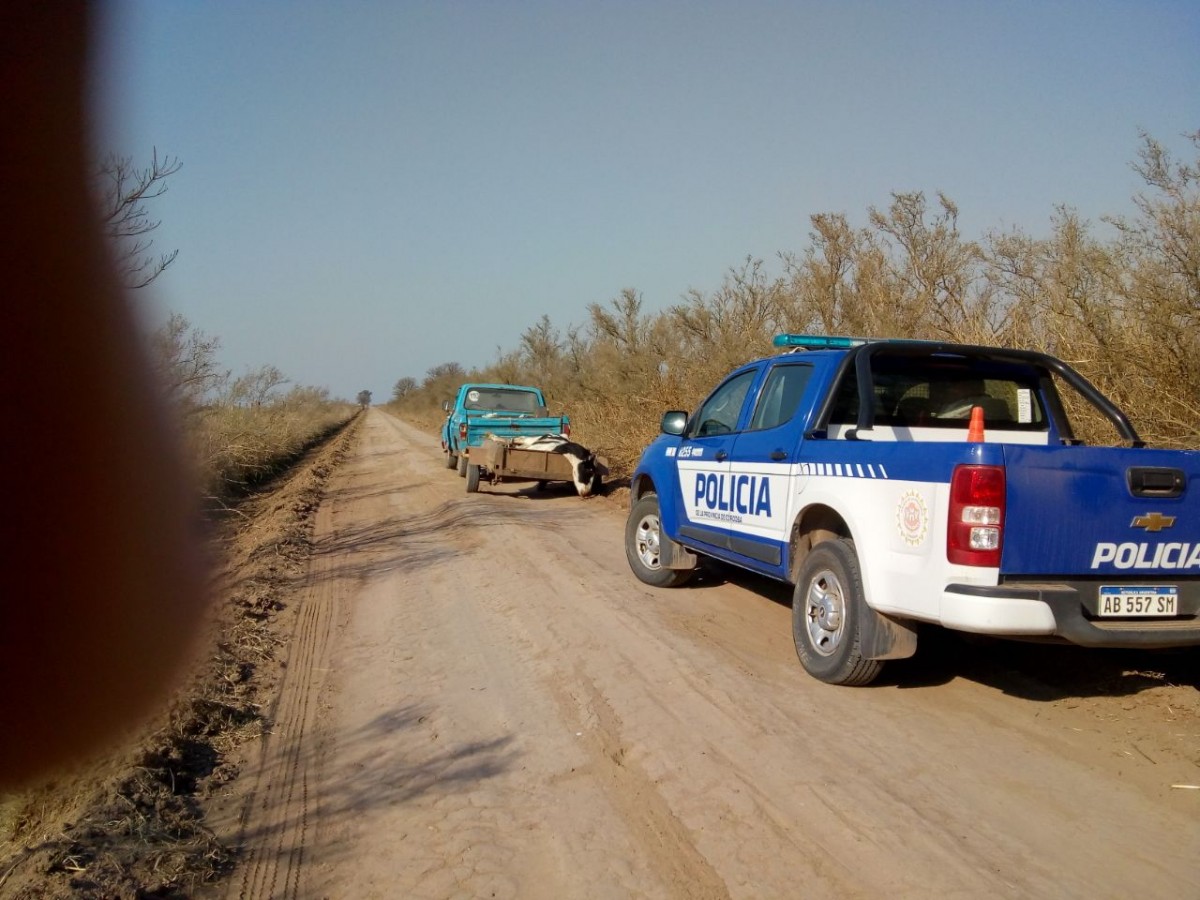 Detenidos por abigeato (ampliación)