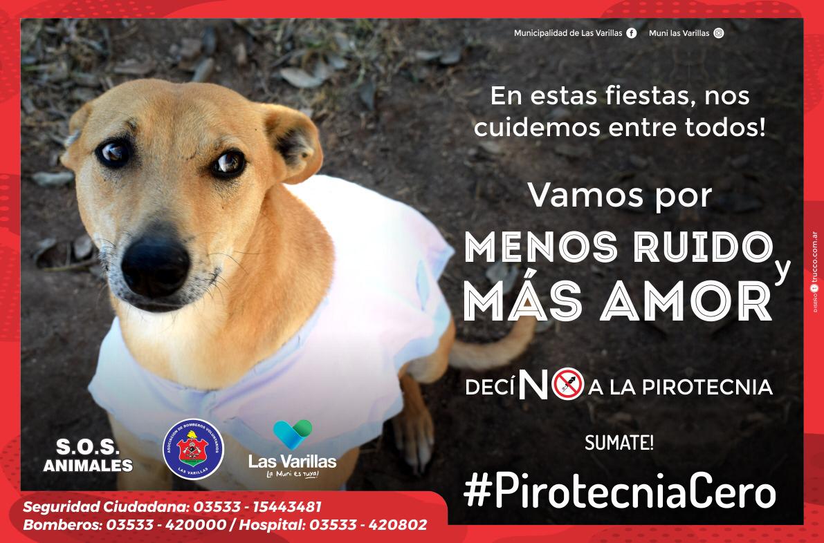 Presentaron  el Programa “Pirotecnia Cero”