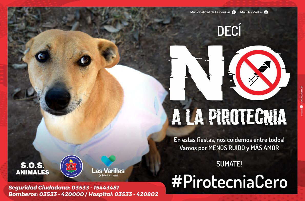 Presentaron  el Programa “Pirotecnia Cero”