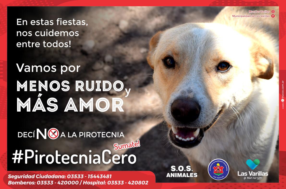 Presentaron  el Programa “Pirotecnia Cero”