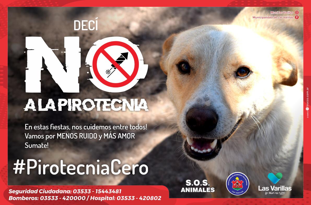 Presentaron  el Programa “Pirotecnia Cero”