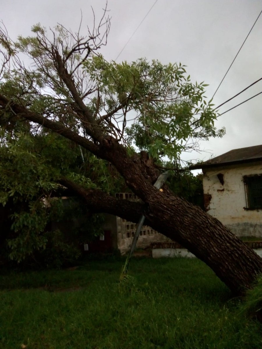 Micro cortes, viento, lluvia y malestar ayer en Las Varillas