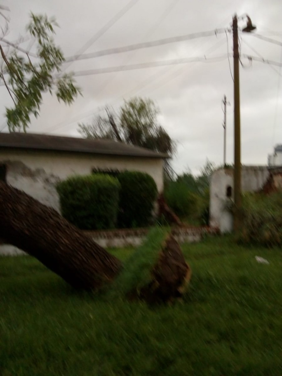 Micro cortes, viento, lluvia y malestar ayer en Las Varillas