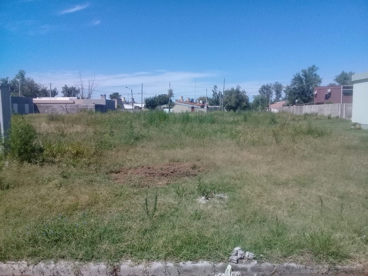 Desmalezado de baldíos