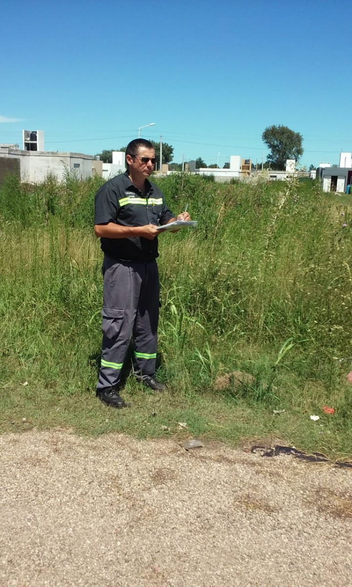 Desmalezado de baldíos