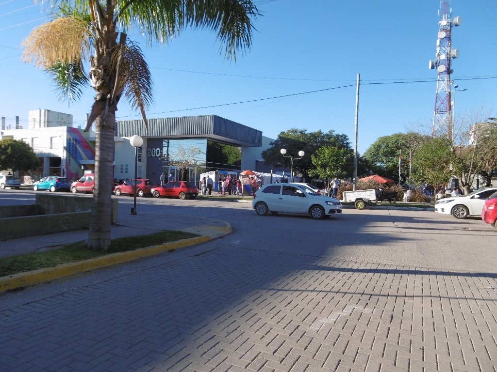 Festejos por el Día del Animal