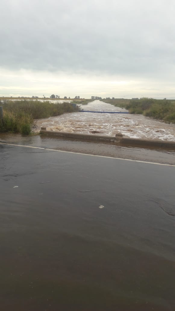 Las copiosas lluvias causaron cortes de ruta y  evacuados en localidades de la región. Las más afectadas El Arañado y Laspiur