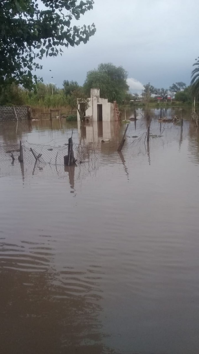 Las copiosas lluvias causaron cortes de ruta y  evacuados en localidades de la región. Las más afectadas El Arañado y Laspiur