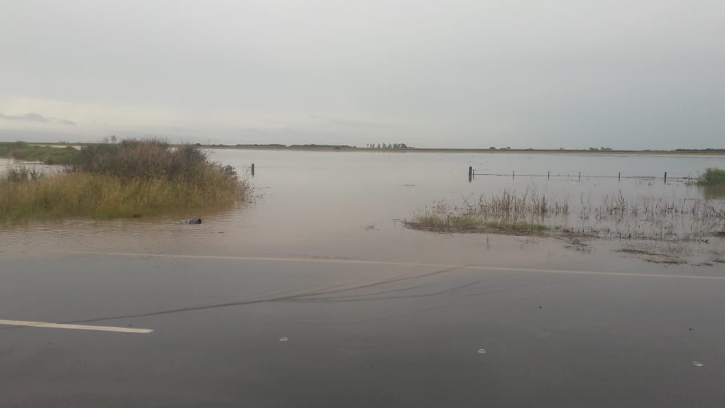 Las copiosas lluvias causaron cortes de ruta y  evacuados en localidades de la región. Las más afectadas El Arañado y Laspiur