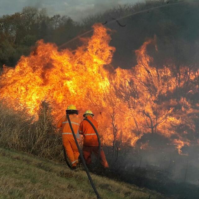 Bomberos debieron trabajar para liberar el paso en la Ruta 3 por un  derrame de maíz