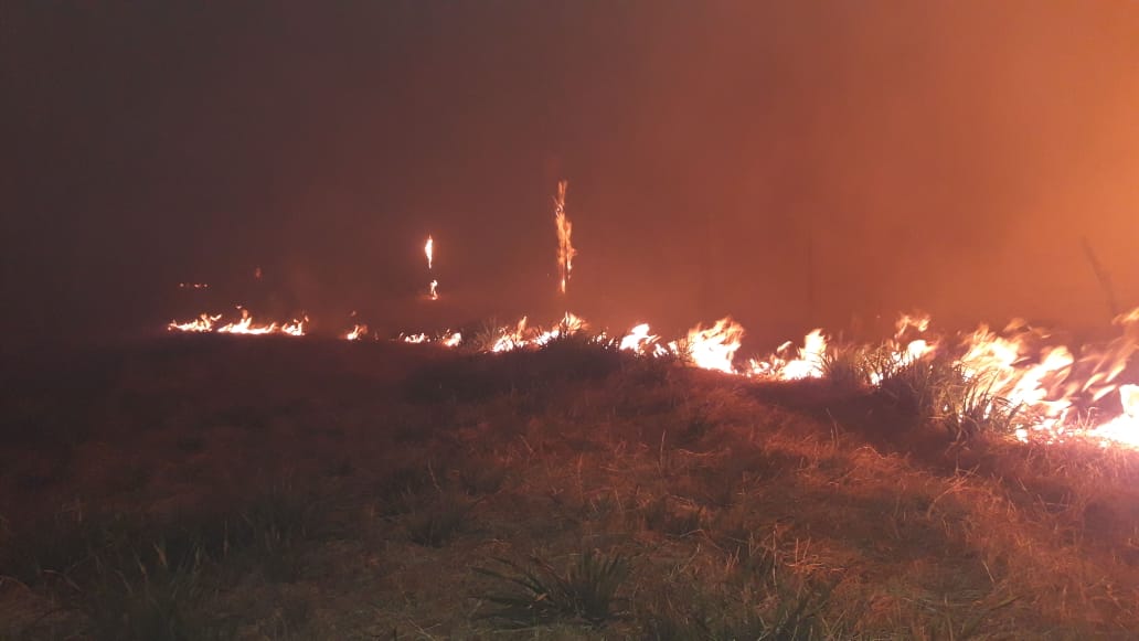 Tres dotaciones de Bomberos combatieron un incendio de campo
